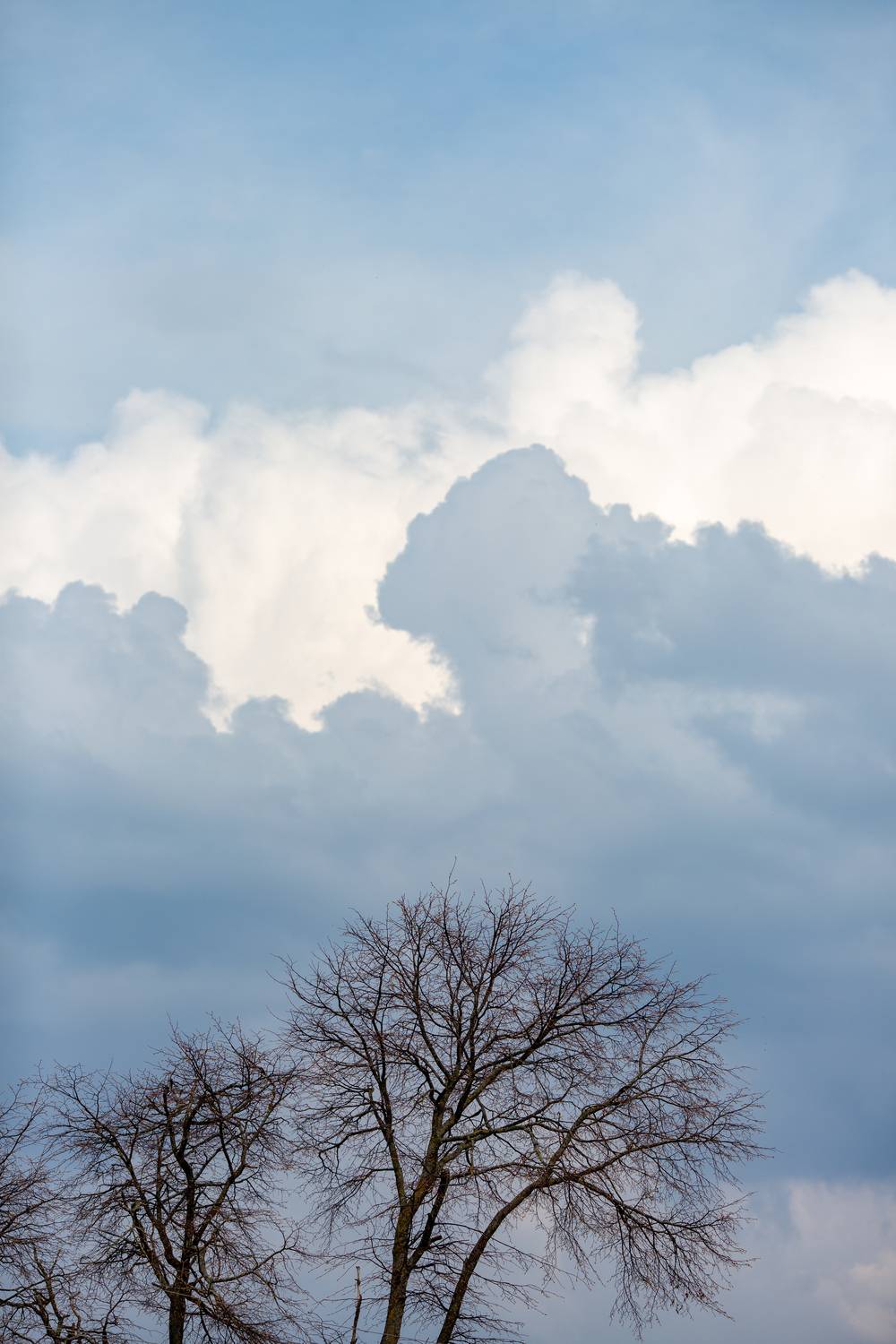 Photo #13741694