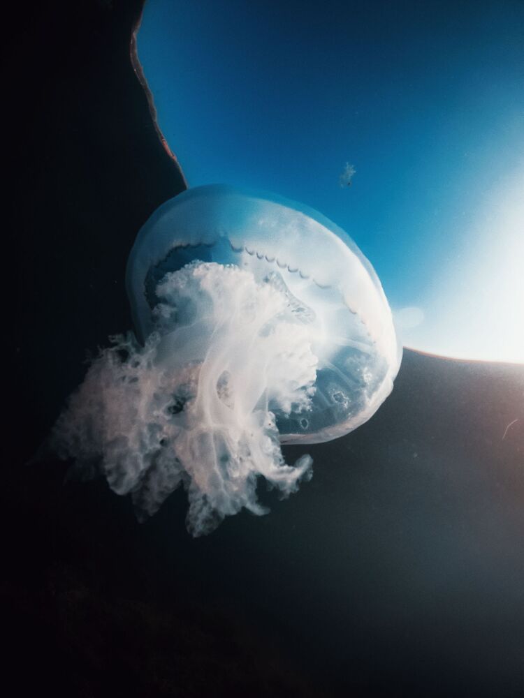 Photograph by Щербак Анатолий