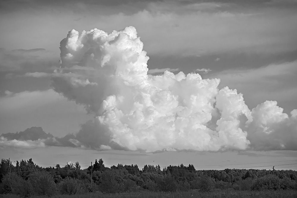 Photograph by Смирнов Алексей