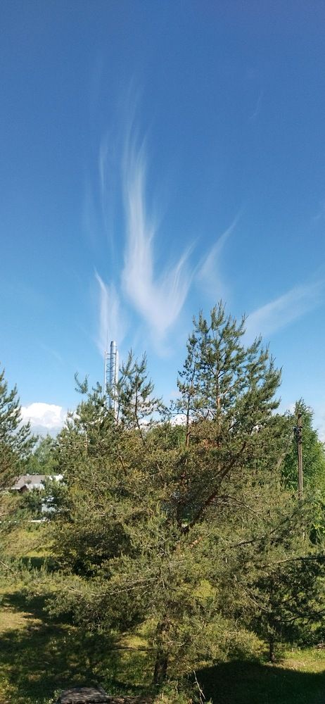 Photograph by Елена Егорова