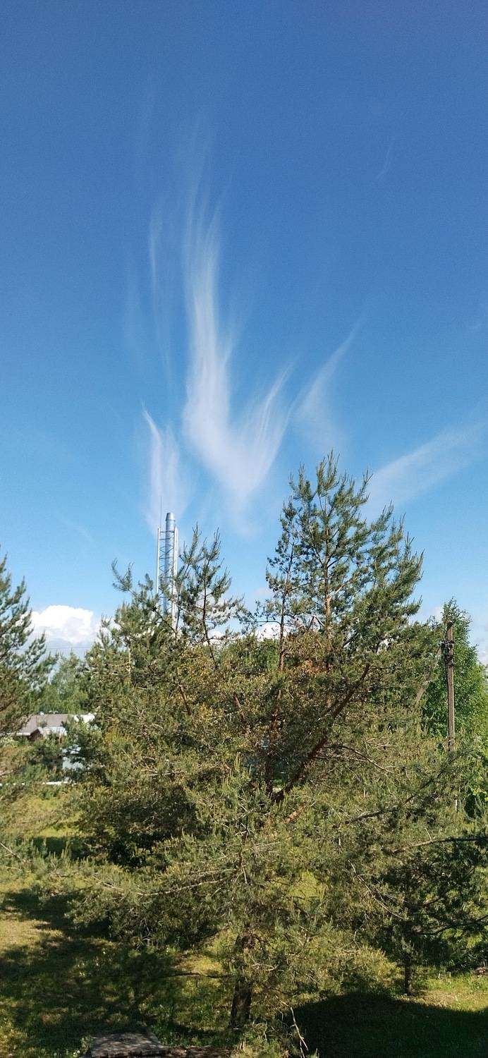Photo #13741768