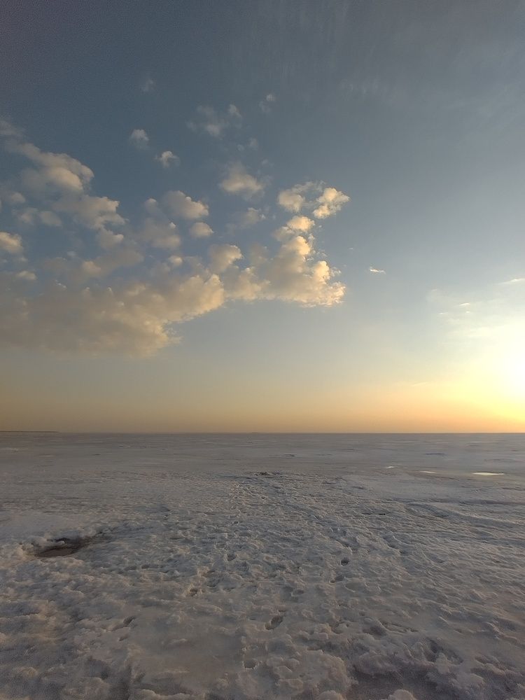 Photo #13741769