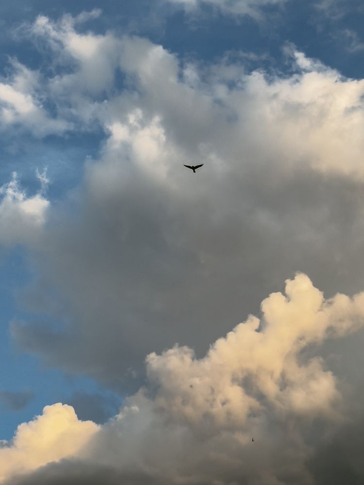 Photograph by Анастасия Терехова