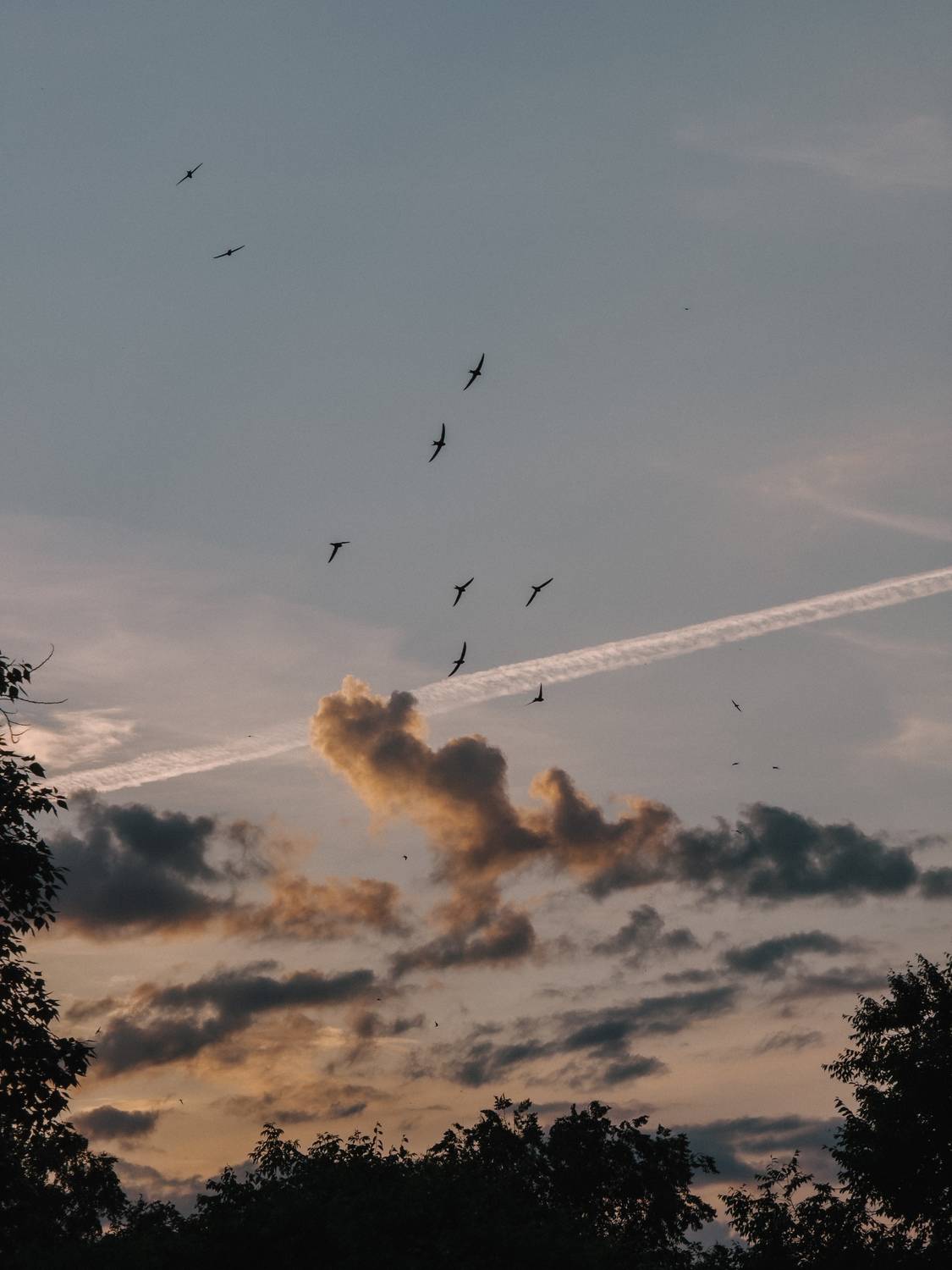 Photo #13741771