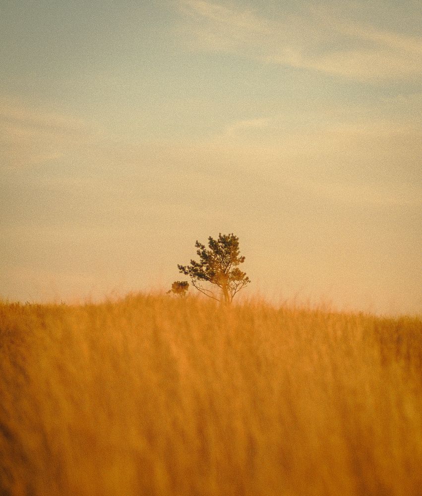 Photograph by Sergey Boiko