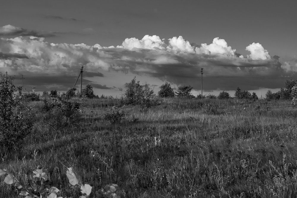 Photograph by Александр Бабаков