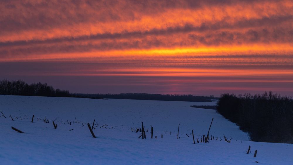 Photograph by Александр Бабаков