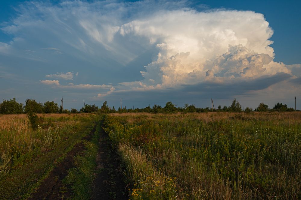 Photograph by Александр Бабаков