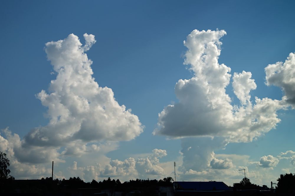 Photograph by Смирнов Алексей