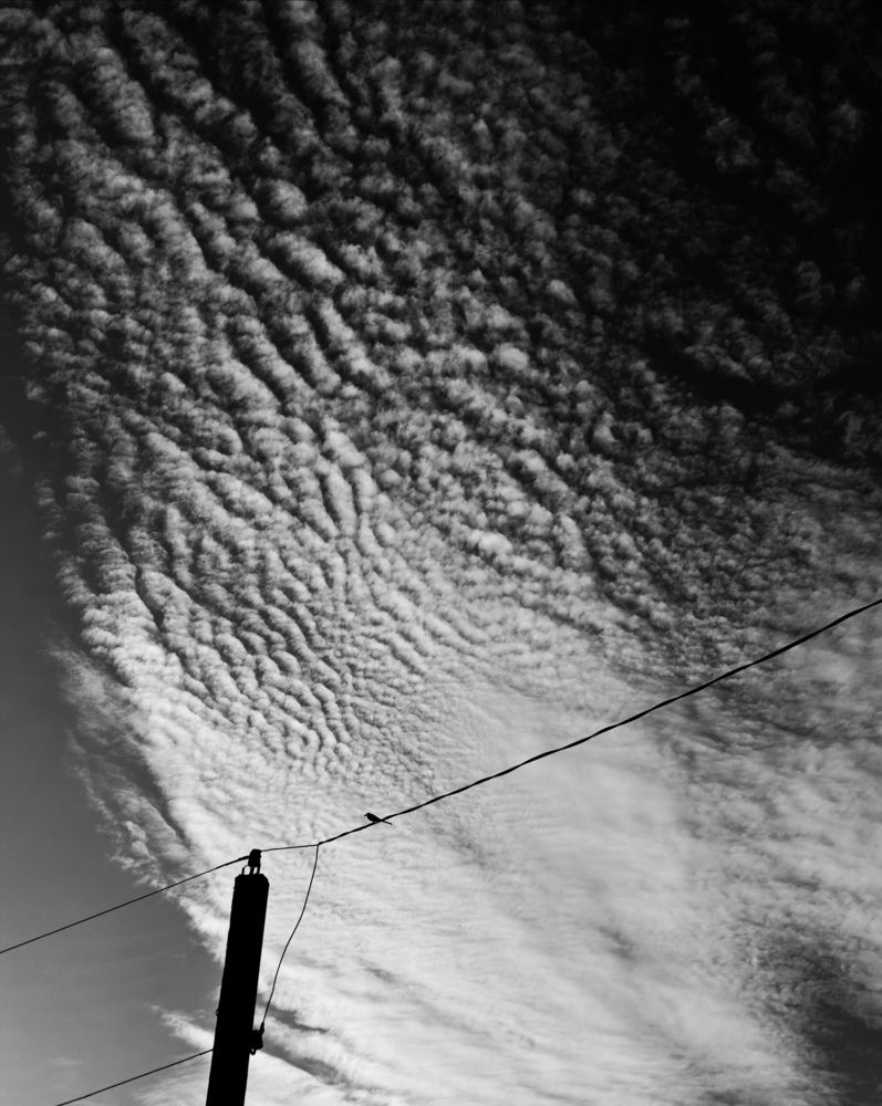 Photograph by Екатерина Савеня