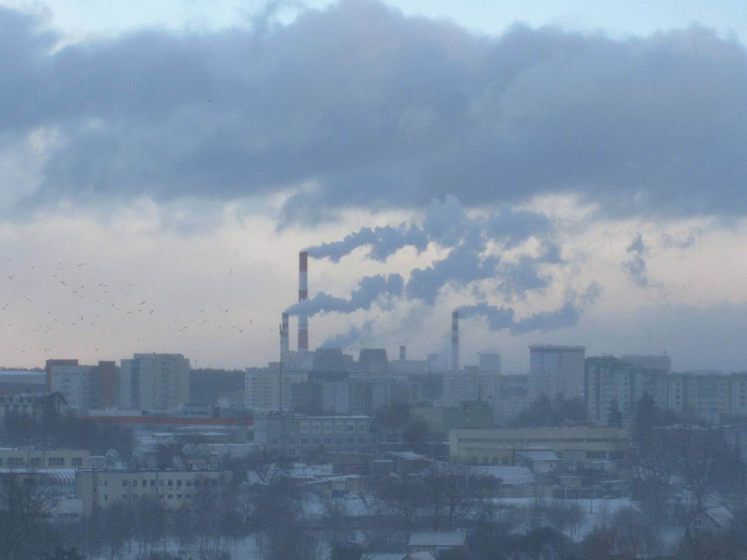 Photo #13742025