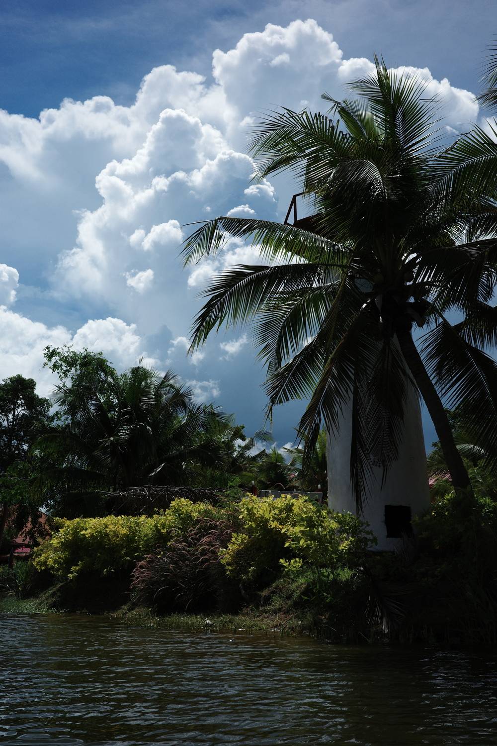 Photo #13742042