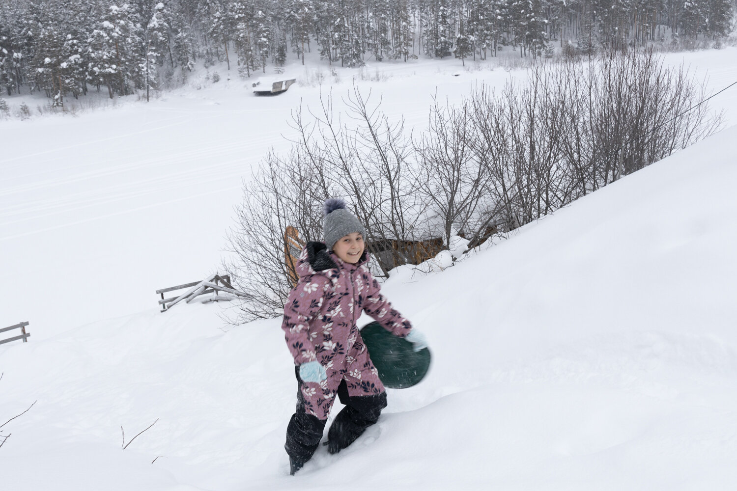 Photo #13742148