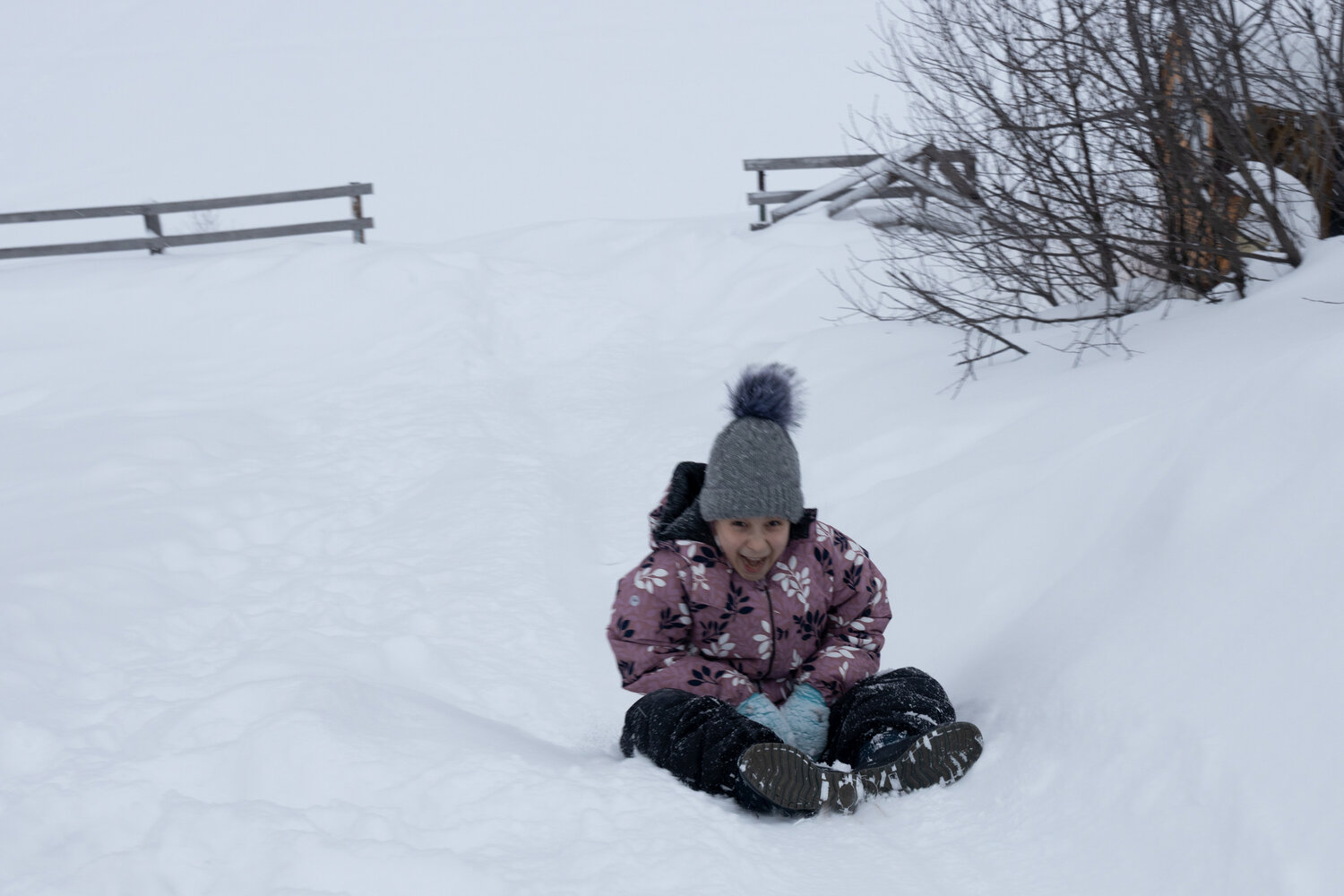 Photo #13742150