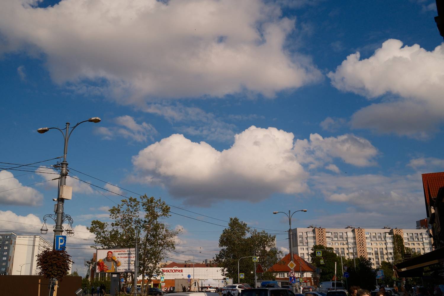 Photo #13742159