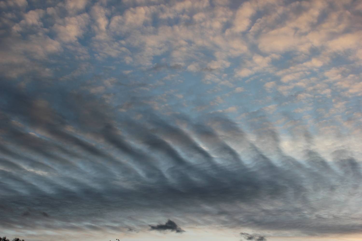 Photo #13742219