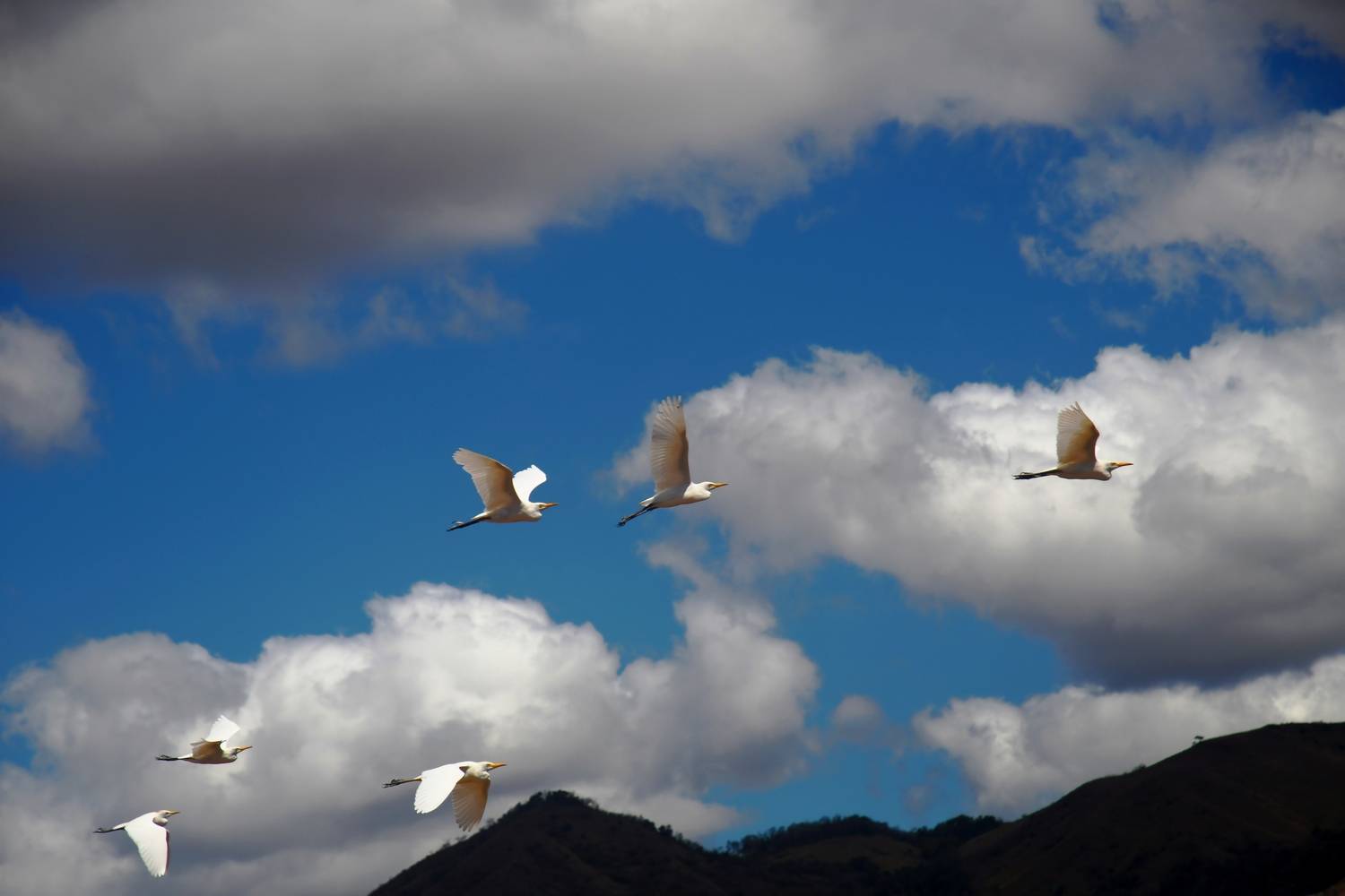 Photo #13742231