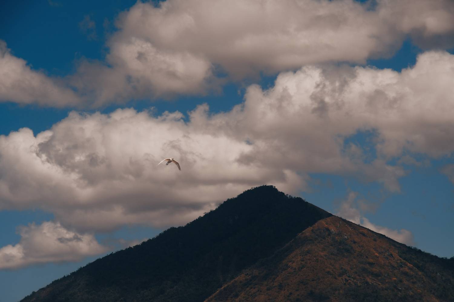 Photo #13742237