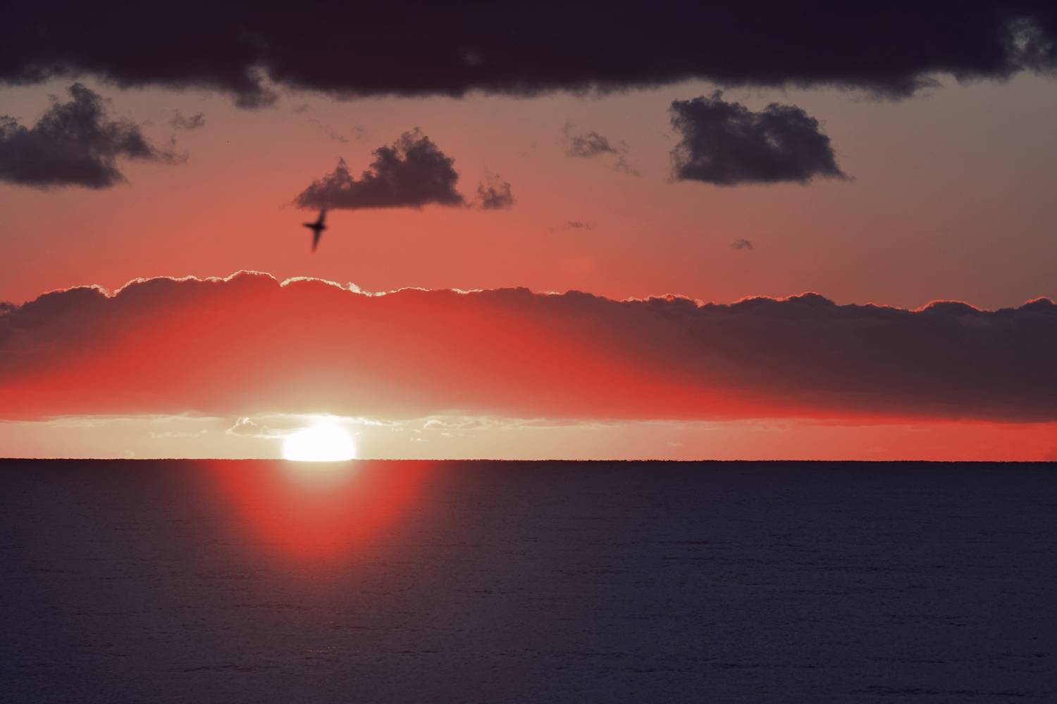 Photo #13742240
