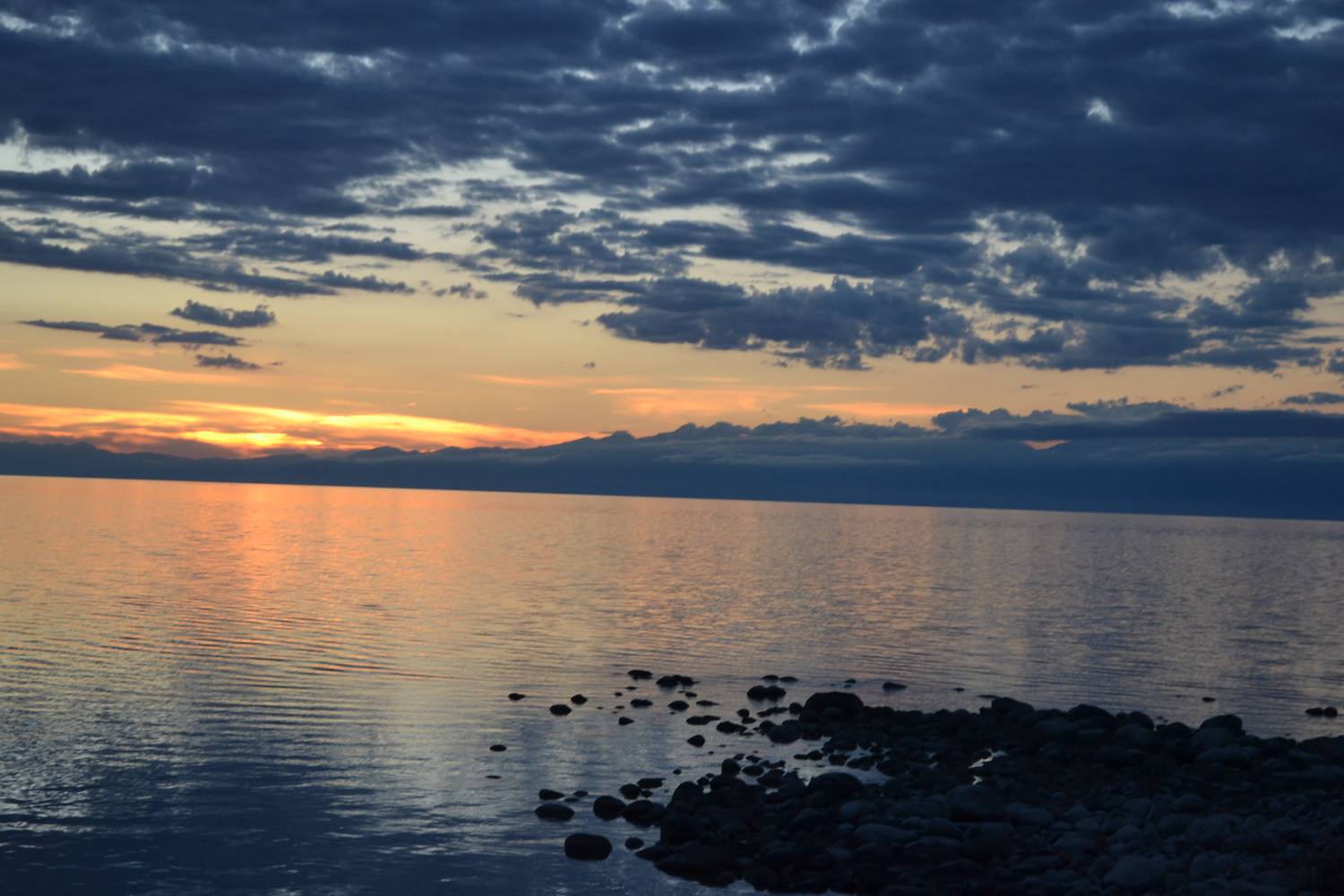 Photo #13742268