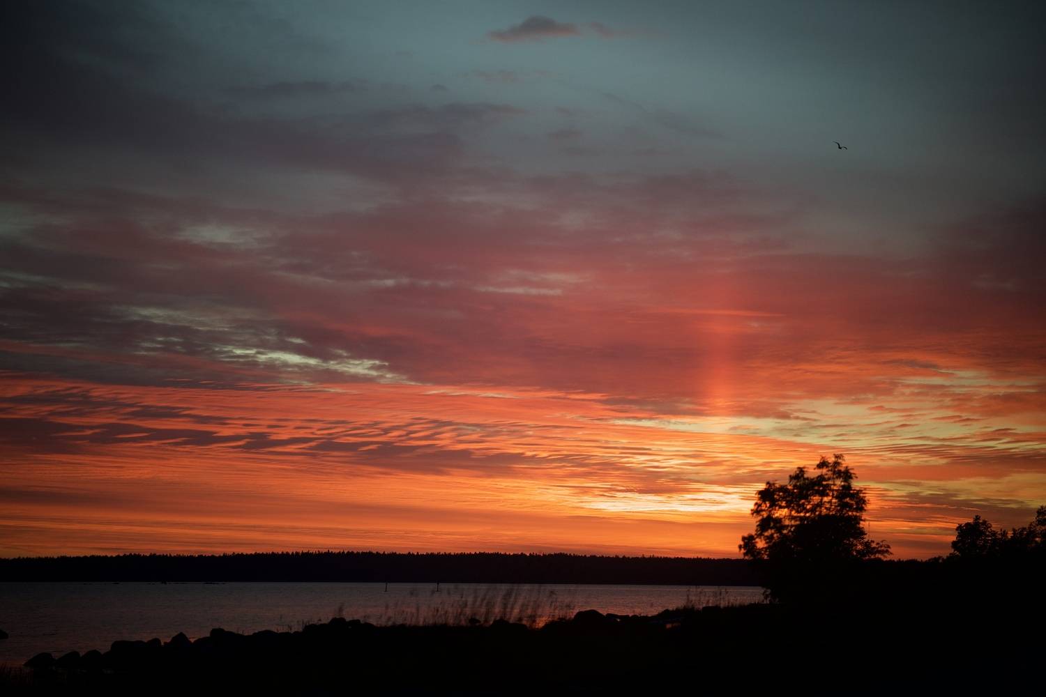Photo #13742287