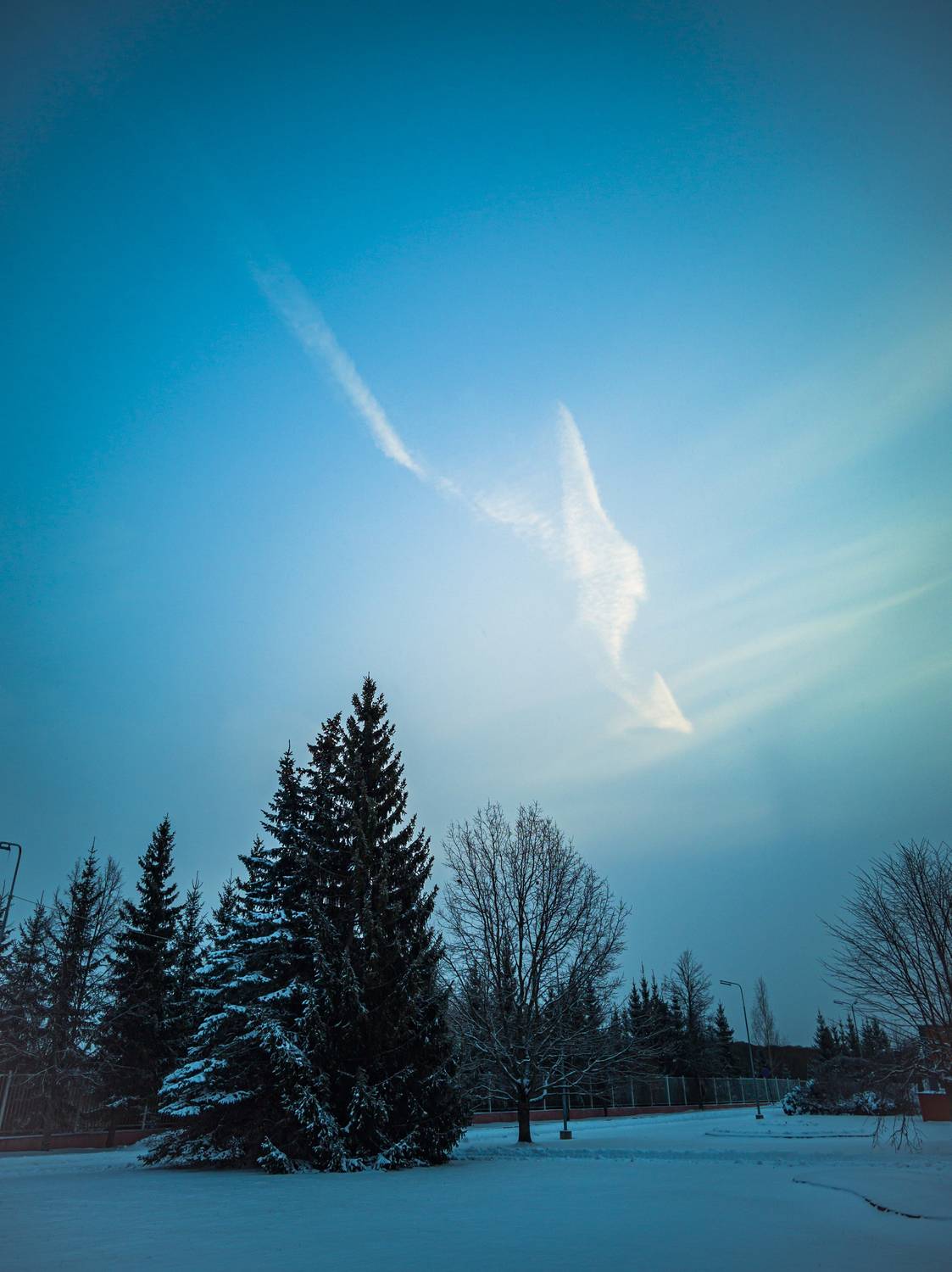 Photo #13742315