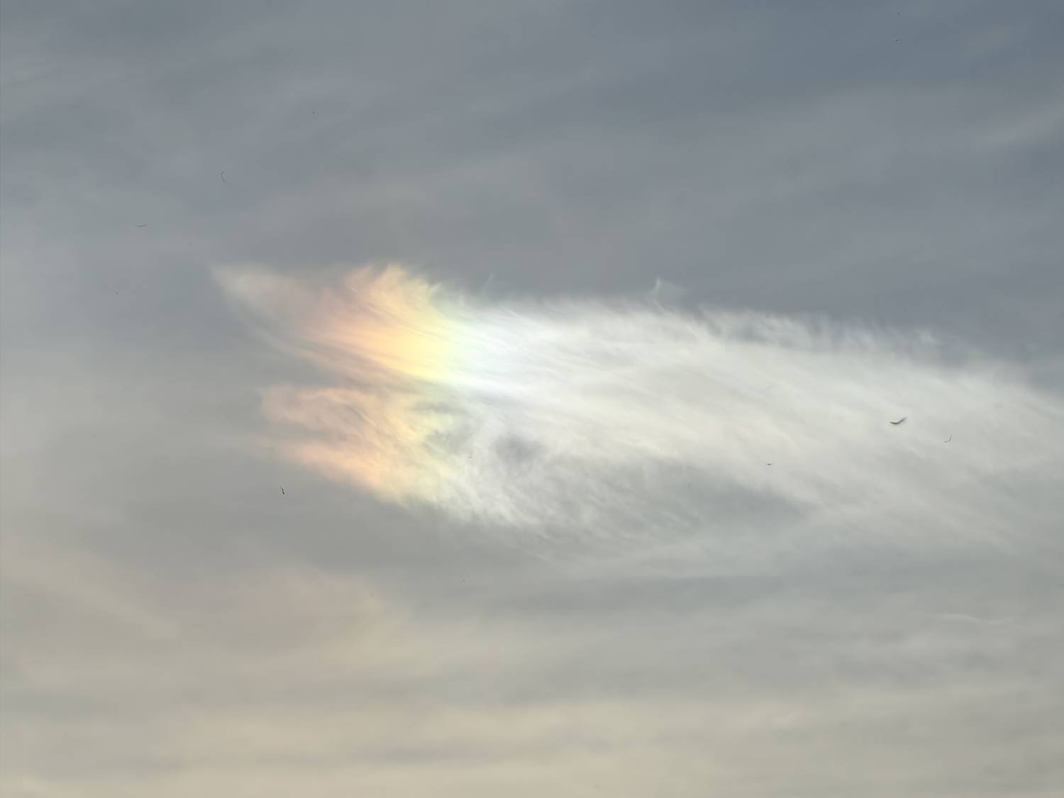 Photo #13742321