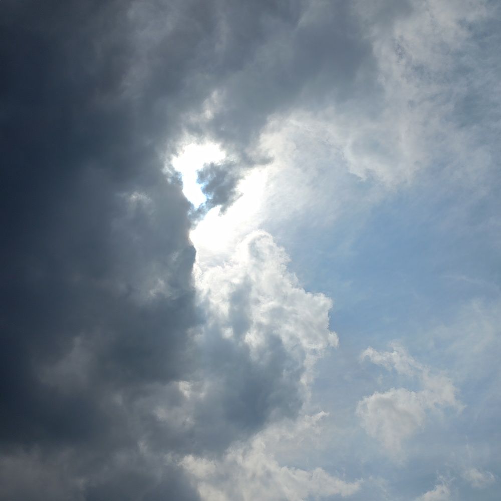Photo #13742329