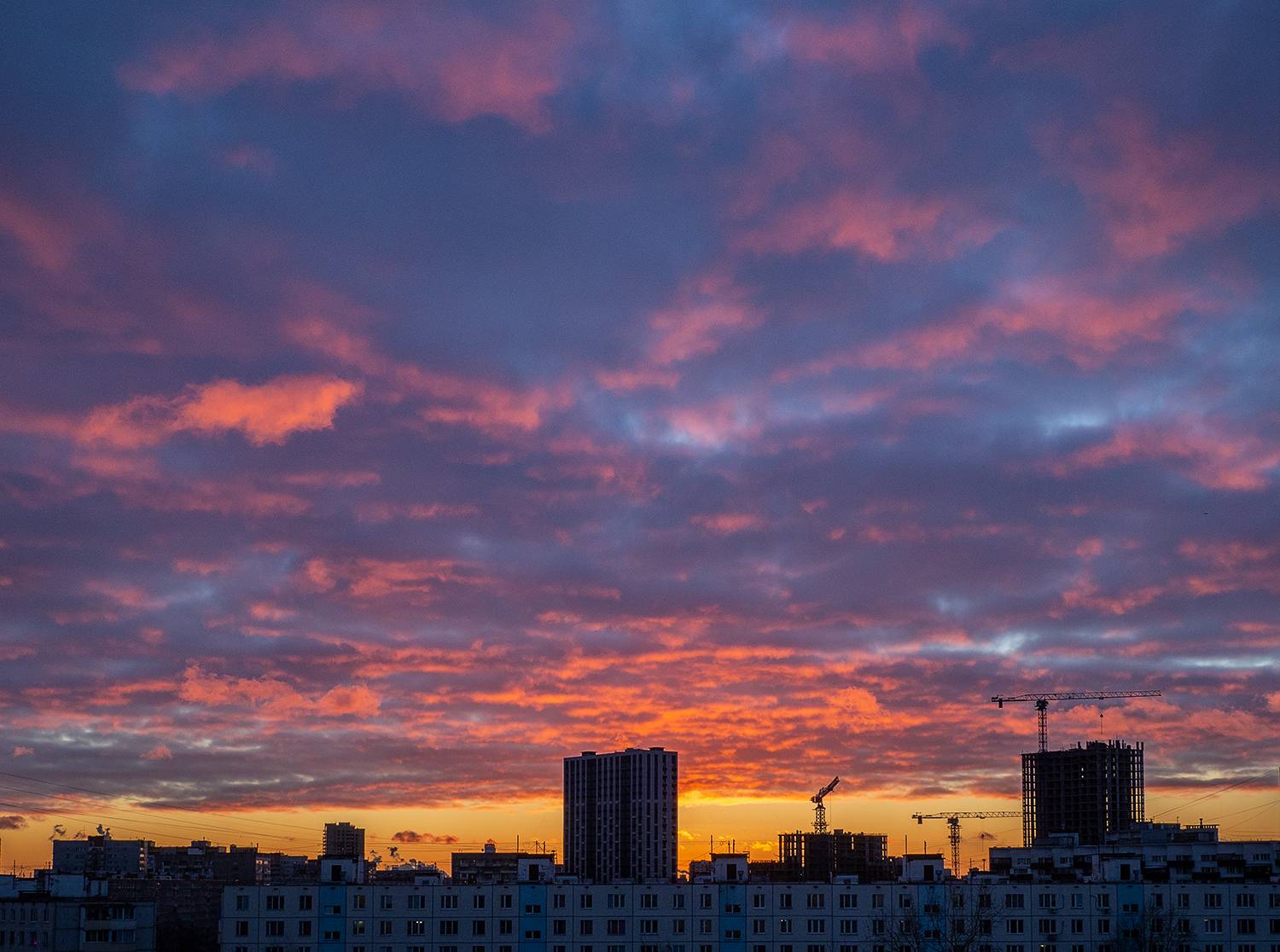 Photo #13742343