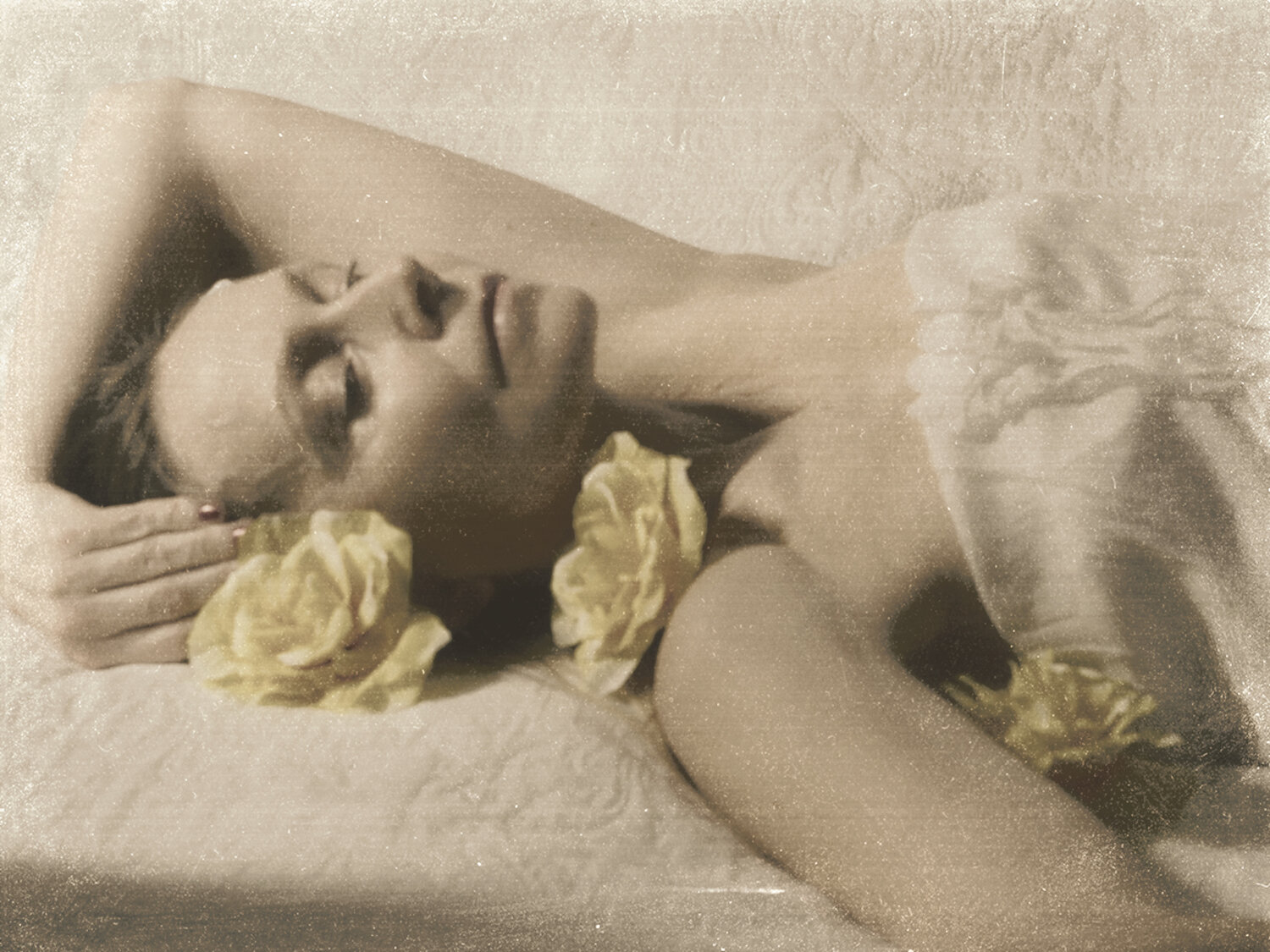 Photo #13742406