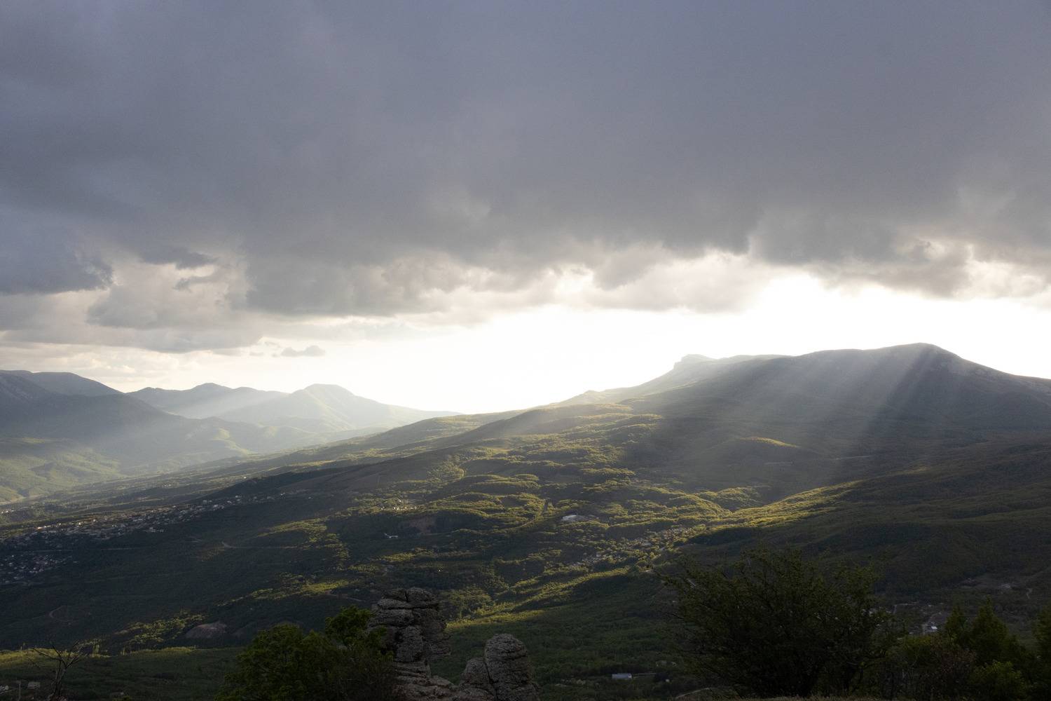 Photo #13742419