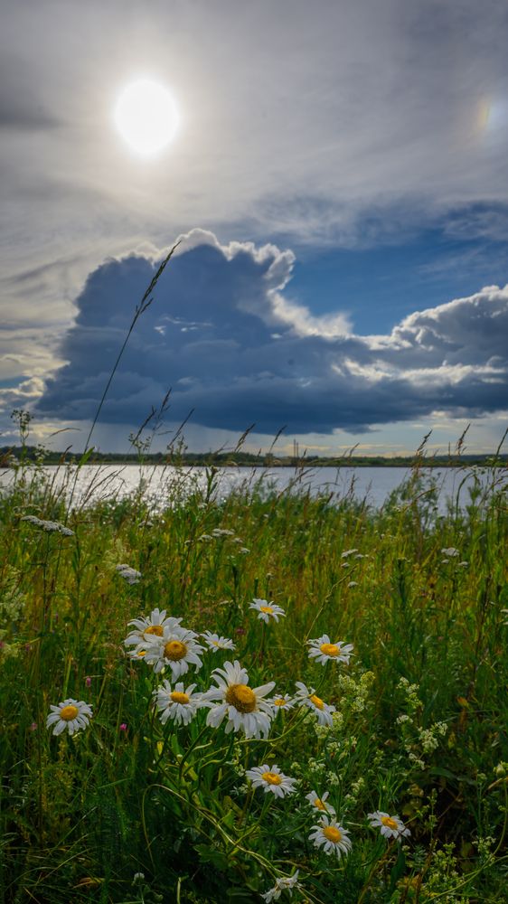 Photograph by Сергей Самосадов