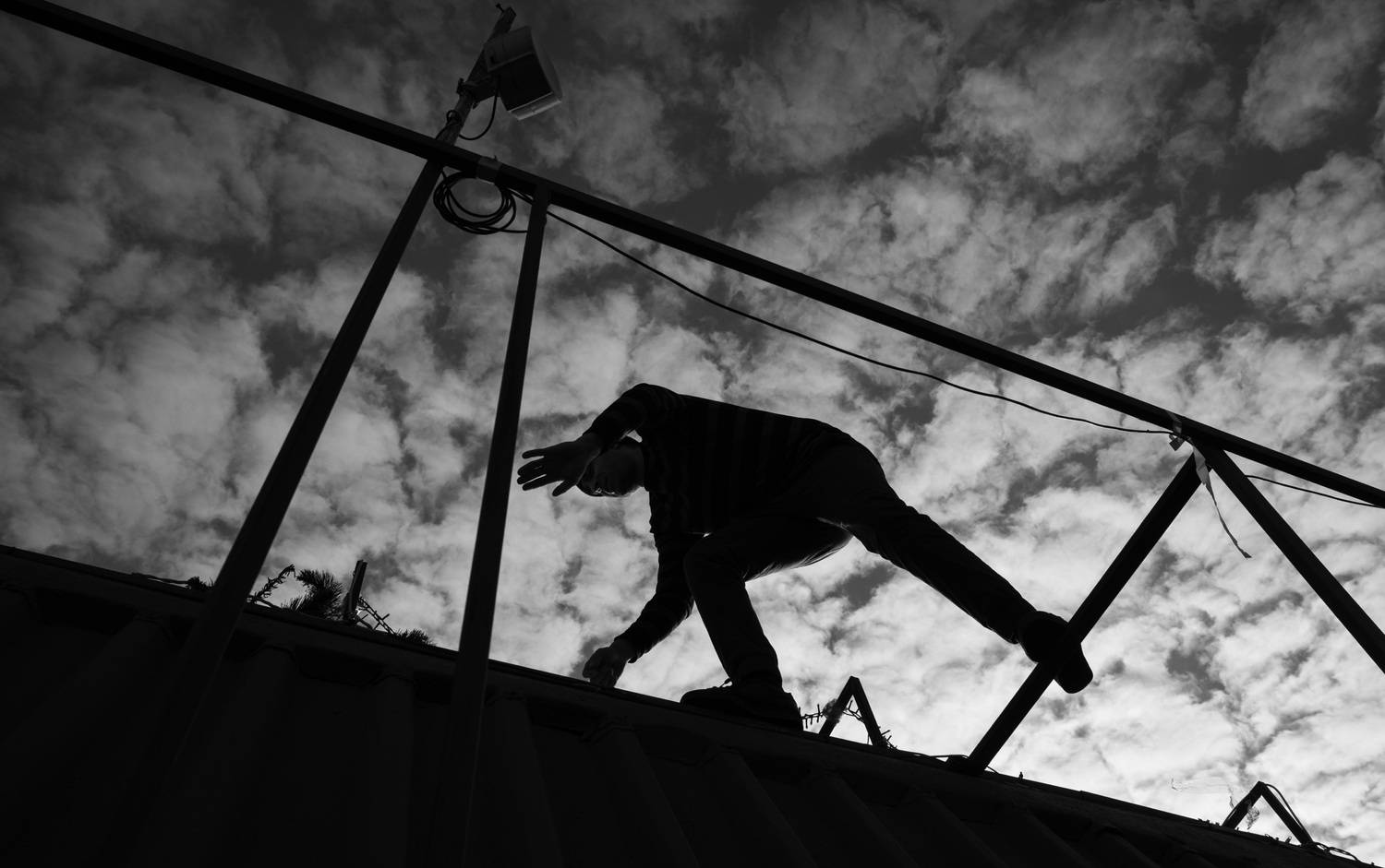 Photo #13742532