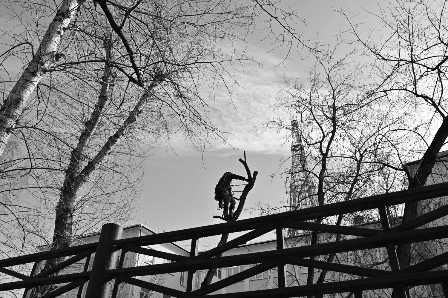 Photo #13742533