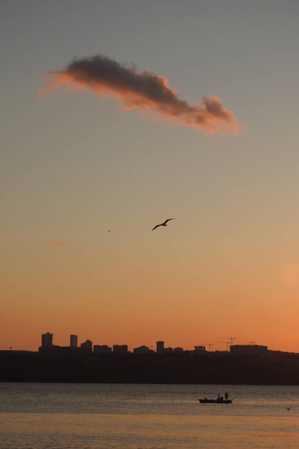 Photo #13742570