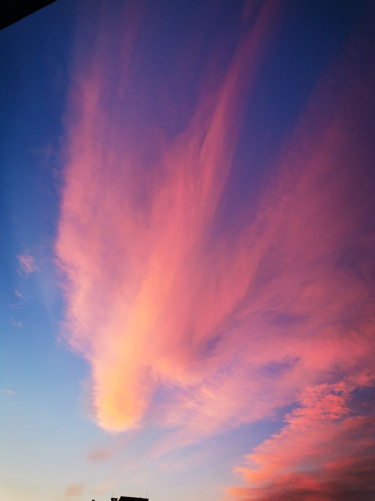 Photograph by Марина Александрюк