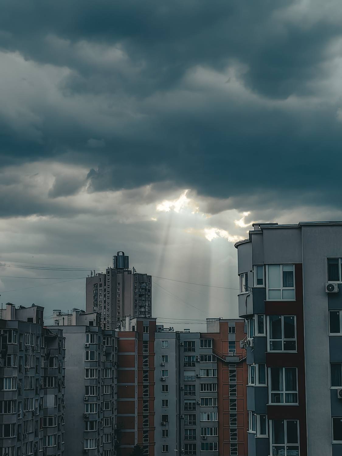 Фотография #13742584