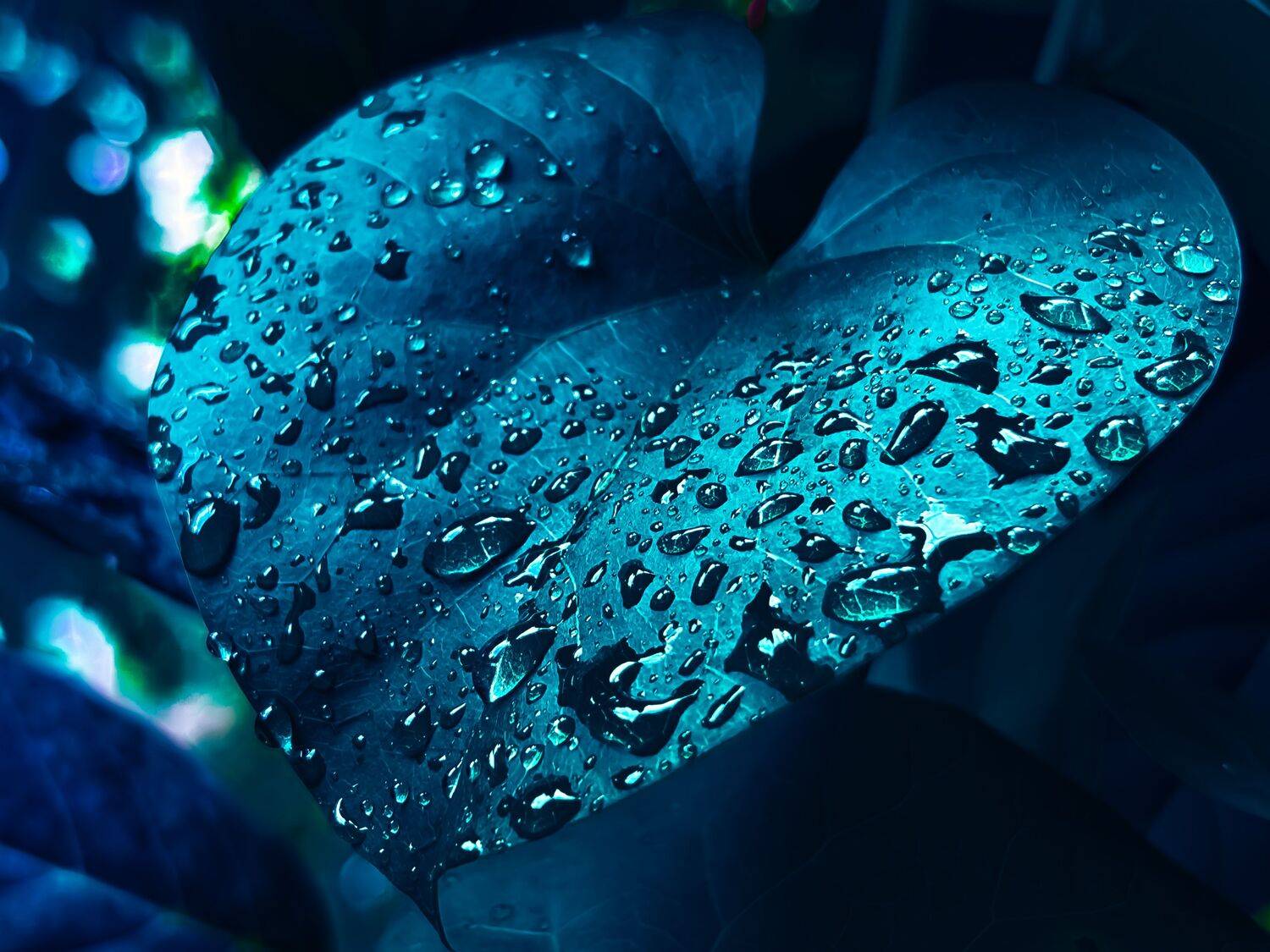 Nature