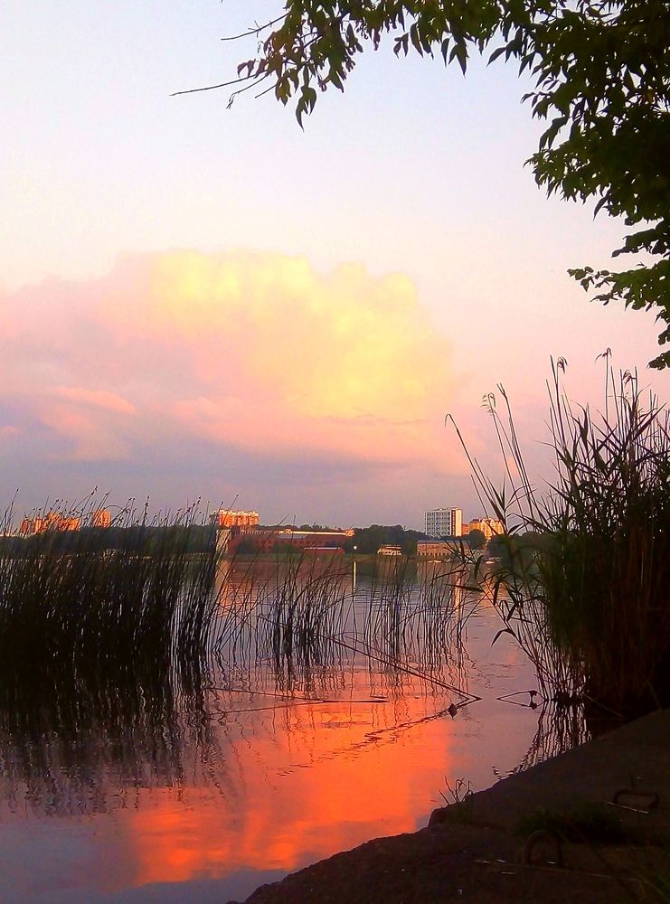 Photograph by Виталий