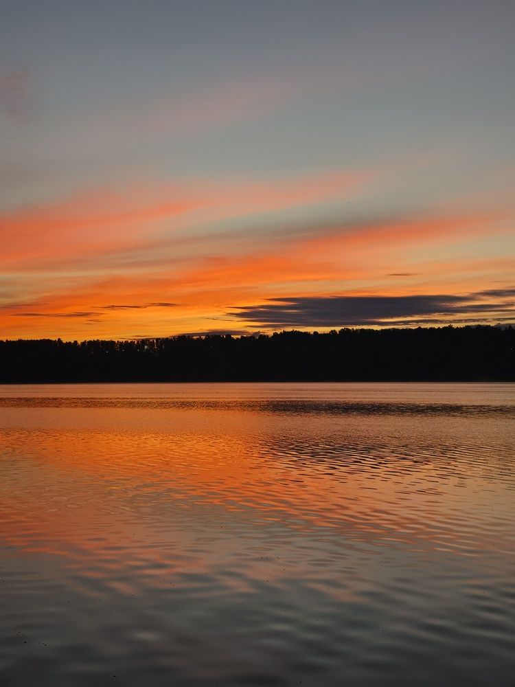 Photo #13742671