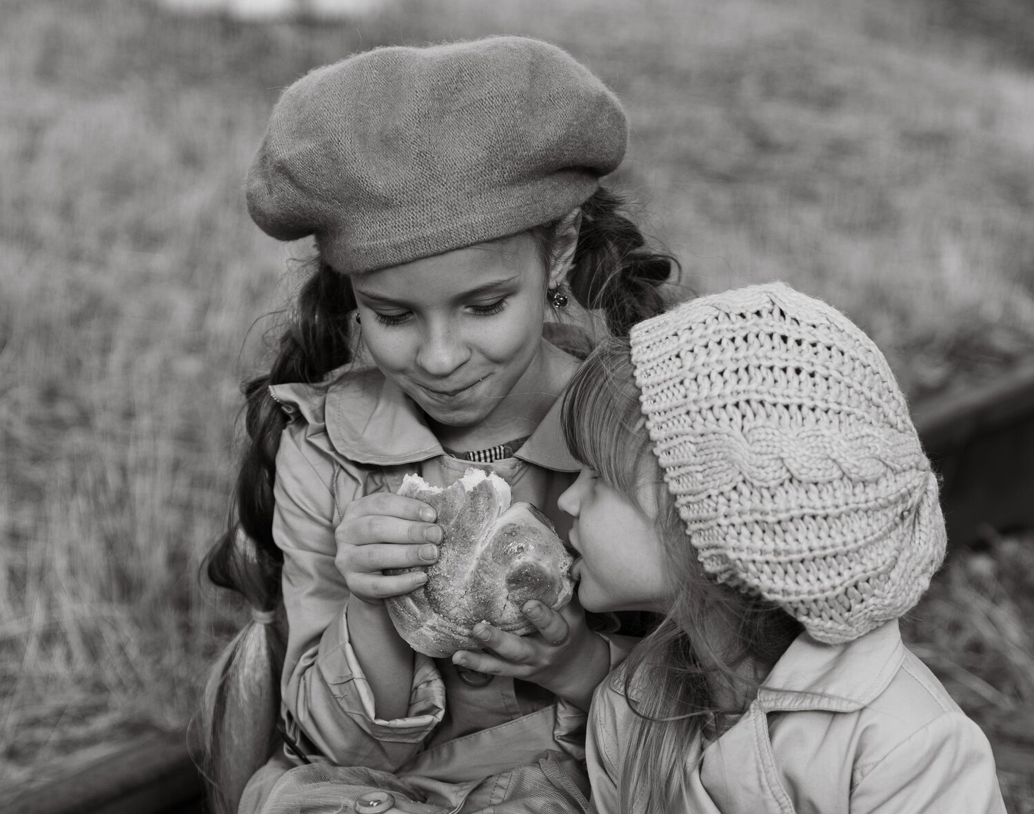 Photo #13742696
