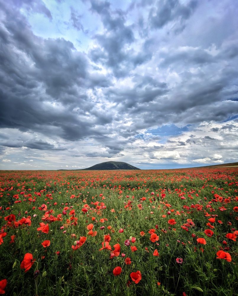 Photograph by Кривенко Владимир