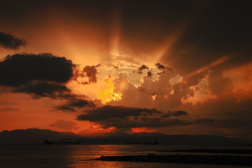 Photograph by Христина Сергейчик