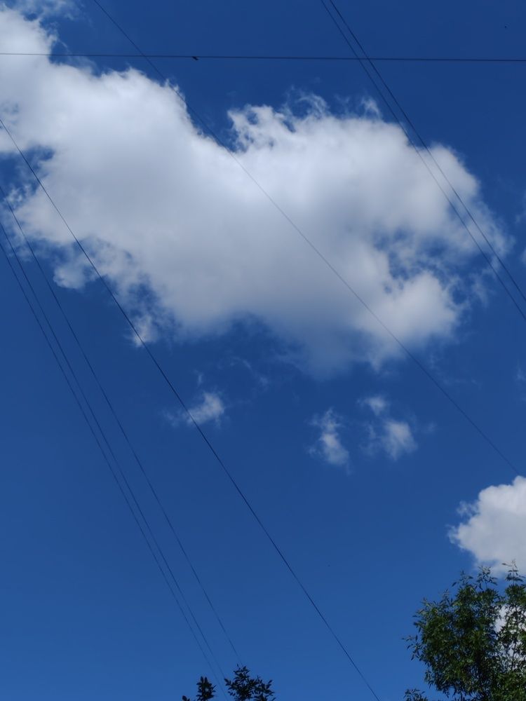 Photograph by Наталья Шендяпина