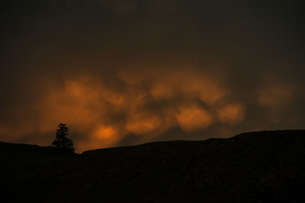 Photograph by Enkhjargal Sugarjav