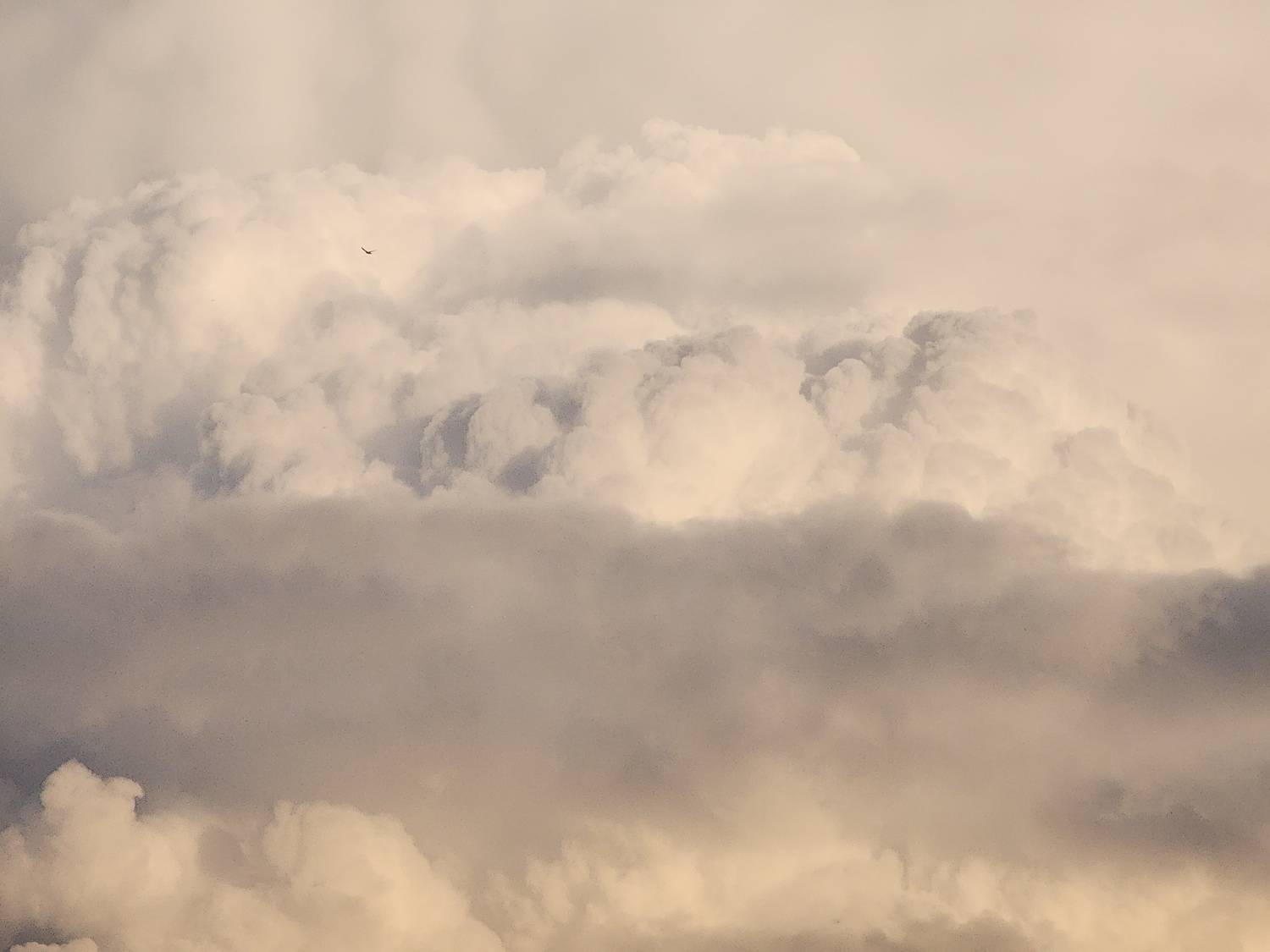 Photo #13742903