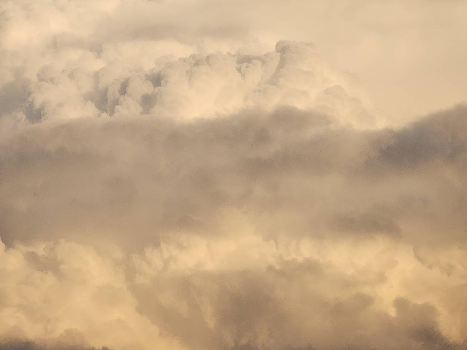 Photo #13742904