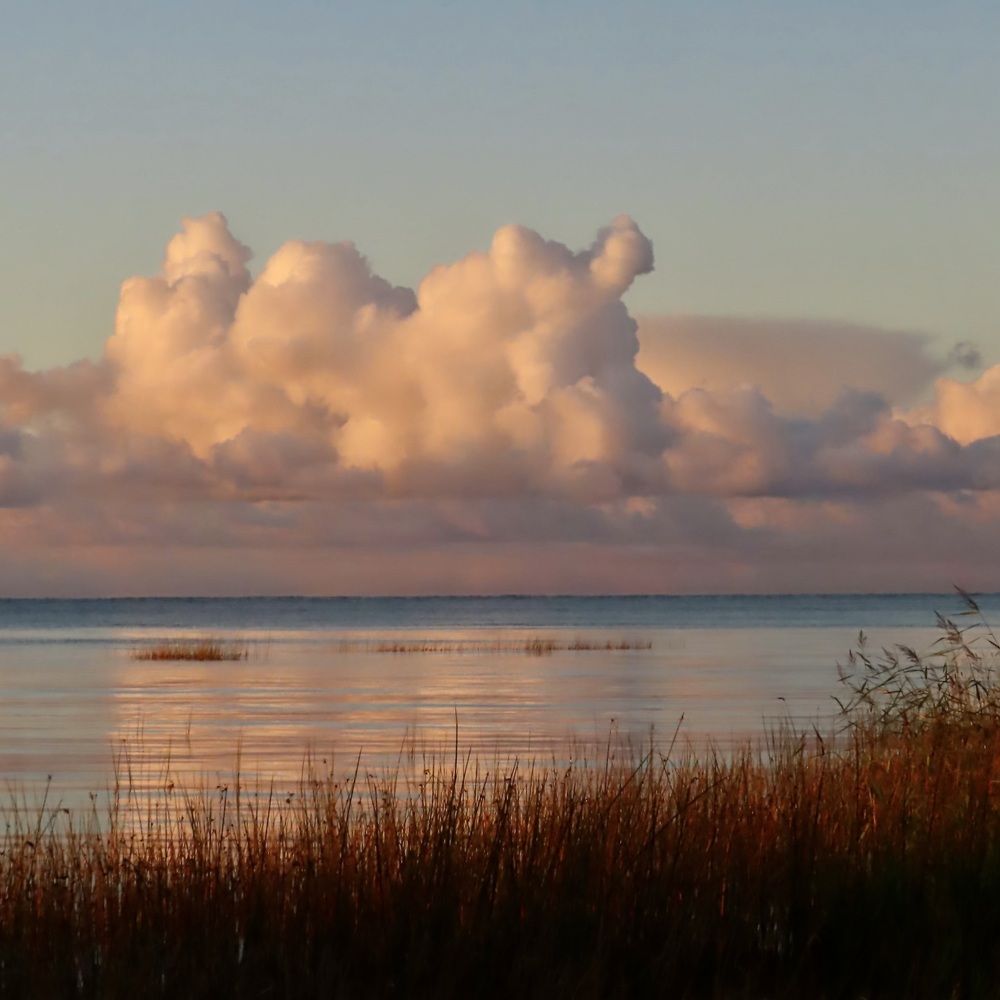 Photograph by Елена Жукова