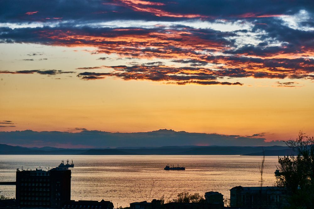 Photograph by Лариса Н