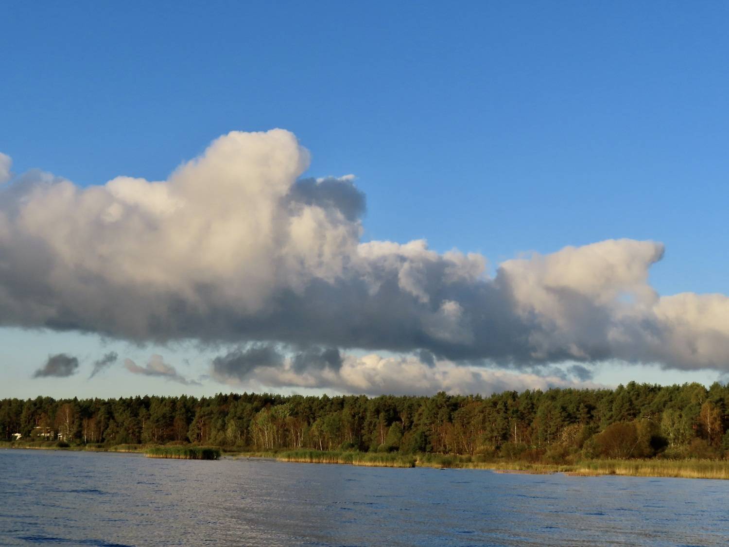 Photo #13742956